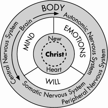 The correlation of the outer and inner self